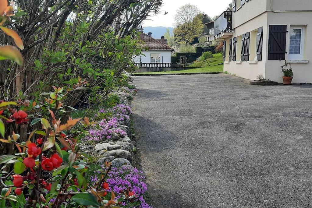 Plain-Pied Proche Base De Loisirs Et Voie Verte Saulxures-sur-Moselotte Exterior foto