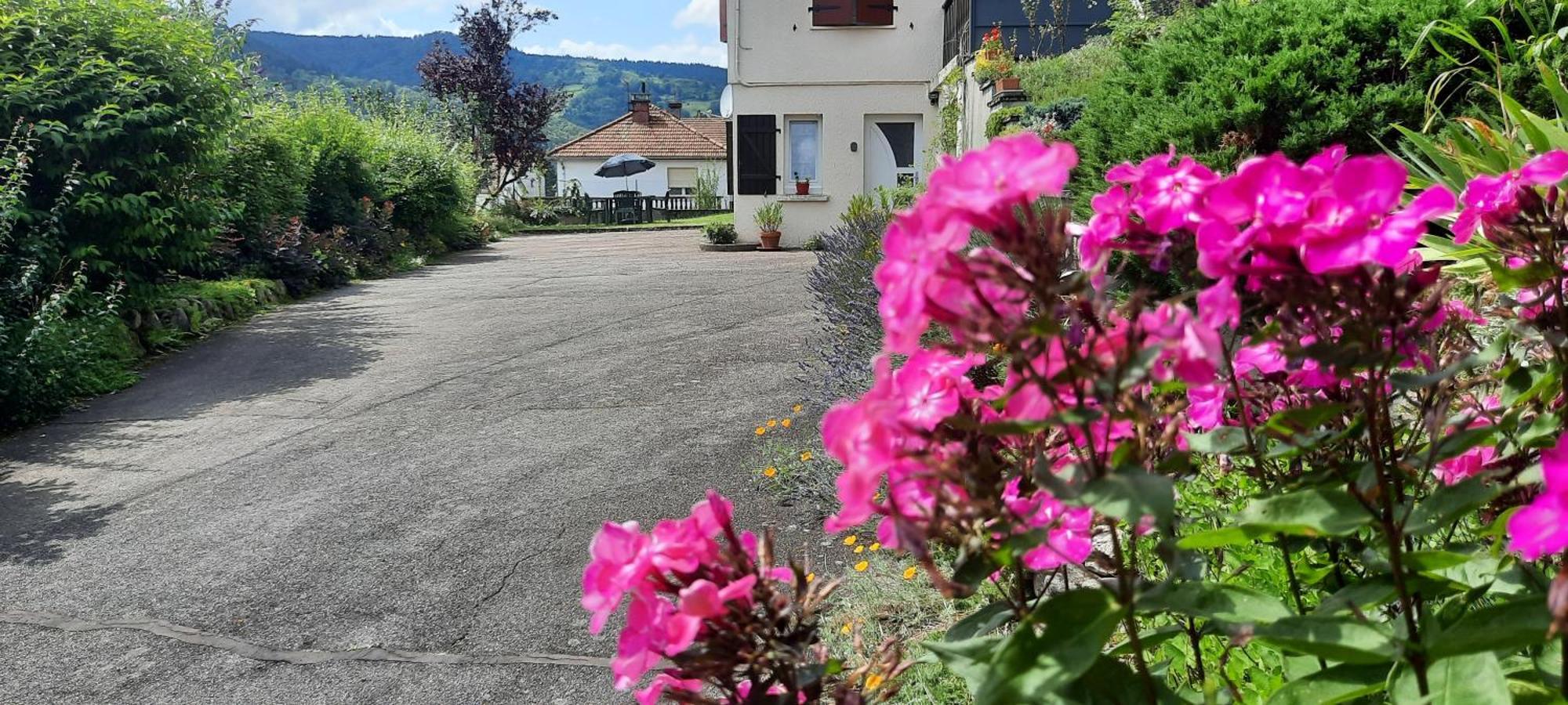 Plain-Pied Proche Base De Loisirs Et Voie Verte Saulxures-sur-Moselotte Exterior foto